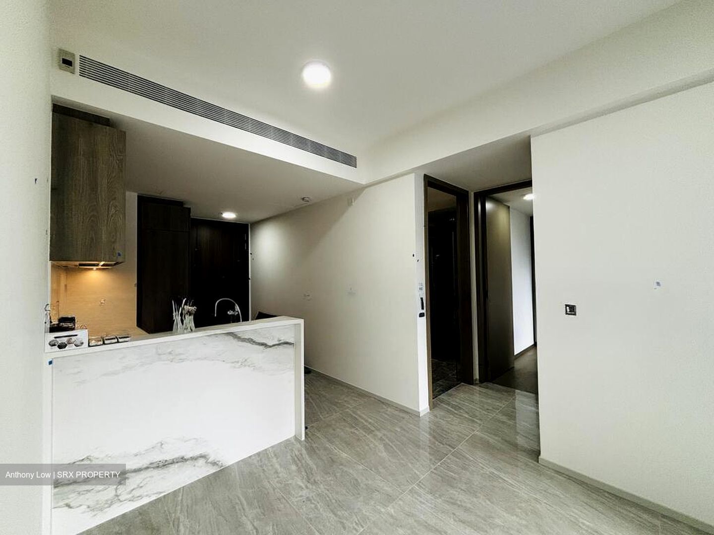 Leedon Green (D10), Condominium #509440411